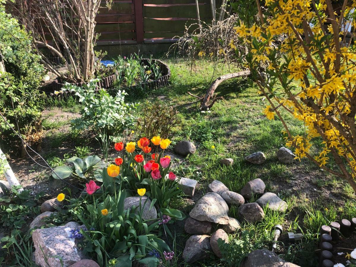 Villa Aida Pokoje Goscinne Gdansk Luaran gambar